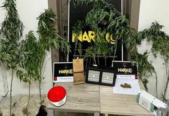 Evlerinde uyuşturucu yetiştiren karı- kocaya gözaltı