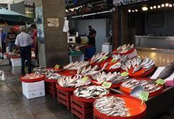 Balık avı başladı, istavritin fiyatı yarıya düştü