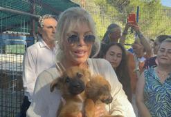 Ajda Pekkan Bodrum'da hayvan barınağını gezdi: Sokaktakileri de korumak lazım