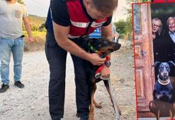 Aç bırakılıp, 74 gün boyunca beslendiği yere gitmesi için GPS takılan Tina, her defasında eve döndü