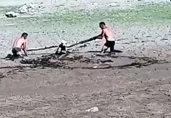 Kuruyan baraj çevresinde bataklık tuzağı