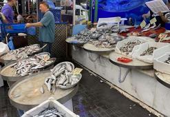 Rize'de sezonun ilk istavrit ile hamsileri, 100 liradan satışta