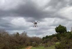 Üniversiteliler, yanan ormanları tohumlamak için hava aracı geliştirdi