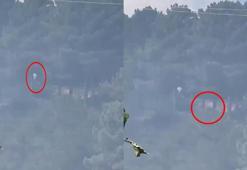 Sultangazi Kent Ormanı'nında yangın çıkarıp kaçtılar iddiası