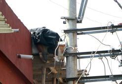 Yüksek gerilim hattı tellerinden akıma kapılan elektrik ustası öldü