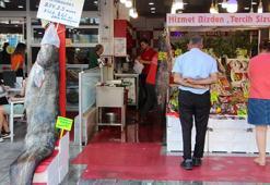2,5 metre boyundaki 141 kiloluk yayın balığı tezgahta