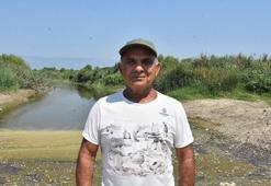 Söke'nin sulak alanlarına moloz tehdidi