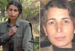 MİT, PKK/YPG'nin finans sorumlusunu etkisiz hale getirdi