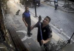 Sarıyer'de tartışmaya neden olan zeytin ağaçlarına şafak operasyonu