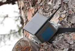 İstanbul'da orman yangınlarına 'Kozalak'lı önlem