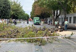 Sultanahmet'te ağaç devrildi, turist grubu son anda kurtuldu