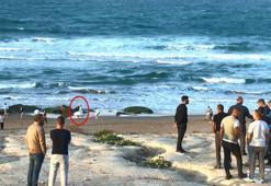 Sarıyer'de hüzün ve mutluluk aynı karede