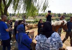 'Hippoterapi tamamlayıcı tedaviler arasına alınmalı'