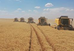 Bakan Yumaklı: TİGEM, hububat hasadı rekoru kırdı
