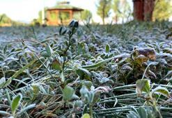 Ardahan’da sıcaklık eksiye düştü; bitkilerde kırağı oluştu, otomobil camları buz tuttu