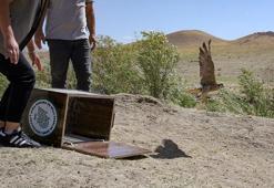 Alıkonulan GPS takip cihazlı gökdoğan, kurtarılıp doğaya salındı