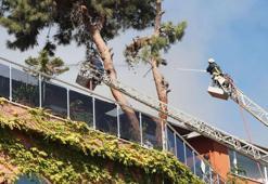 Boş arazide çıkan yangın villaya sıçradı