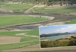 Bayramiç Barajı'nı besleyen dereler kurudu