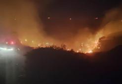 Söke'de çıkan maki yangını 2 saatte söndürüldü