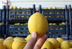 Bahçede kilosu 3, halde 4 liraya satılan limon, market rafında 24 lira