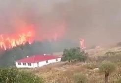 Bolu, İzmir ve Adana'da orman yangını