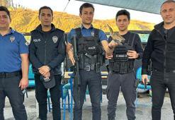 Nesli tehlike altında olan yaralı balaban kuşu, polis uygulama noktasına sığındı