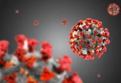 “Sadece Eris değil tüm viral enfeksiyonlarda bağışıklık sisteminin güçlü olması gerekir”