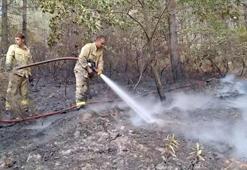 Sultanbeyli Aydos Ormanı'nda yangın