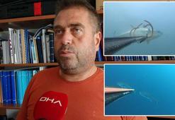 Prof. Dr. Ayaz: Gece zıpkınla balık avı popülasyonu olumsuz etkiliyor