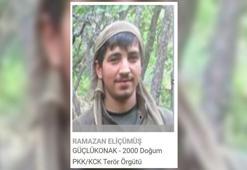 Bakan Yerlikaya: Gri kategorideki terörist etkisiz hale getirildi