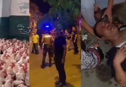 Mülk sahibi ve kiracı arasında 'kaçak tavuk kesimi' kavgası
