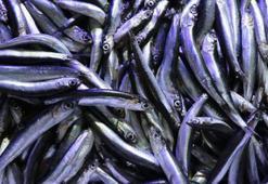 Haldeki hamsi tartışması sürüyor