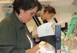 Risk altındaki canlıları iklim değişikliğinden koruyacak proje