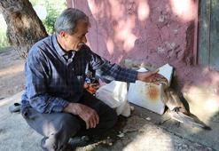 Yaralı bulduğu balaban kuşunun tedavisini yapıp, Milli Parklar'a teslim etti