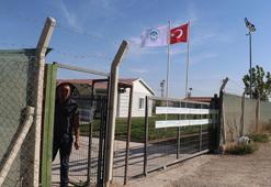 Eskişehir'de belediyenin hayvan bakımevine kapatma kararı