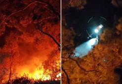 Düşen helikopterdeki 3 kişinin öldüğü Menderes'teki orman yangınında 260 hektar alan etkilendi
