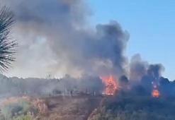 Sultangazi Kent Ormanı'ndaki yangın söndürüldü: Yaklaşık 10 dönüm alan kül oldu