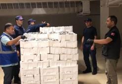 İstanbul'da boy yasağına aykırı avlanan 3 ton istavrite el konuldu