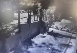 "Hayalet ekran" hırsızları yakalandı