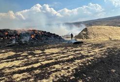 Sivas'ta çıkan yangında 2 bin balya saman yandı