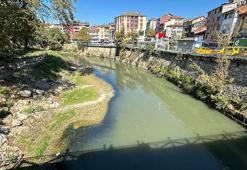 Bartın Irmağı'nda toplu balık ölümleri