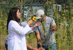 ‘Sürdürülebilir Kenevir Yetiştiriciliği Projesi’ ile su ve gübreden tasarruf