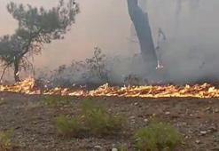 Tokat'taki orman yangını 2 saatte kontrol altına alındı