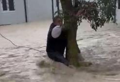 Ağaca sarılarak hayata tutundu