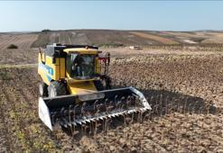 Çatalca’da ayçiçek hasadı yapıldı