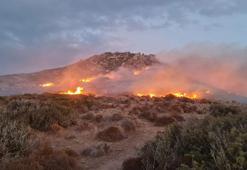 Bodrum’da 60 dönüm otluk ve makilik yandı