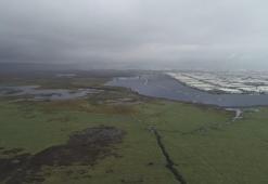 Kesin korunacak hassas alan Hürmetçi Sazlığı'nın bir bölümüne sanayi bölgesi yapılmış