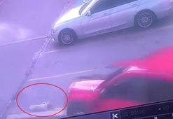 Ciple sokak köpeğinin üzerinden geçti; o anlar kamerada