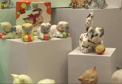 Beşiktaş’ta ‘Kedi Müzesi’ açıldı