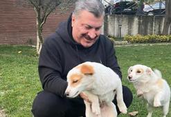 Bakan Koca'dan '4 Ekim Dünya Hayvanları Koruma Günü' paylaşımı